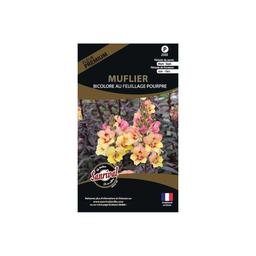 Graines de fleurs premium muflier bicolore feuillage pourpre