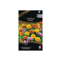 Graines de fleurs premium Zinnia pop art