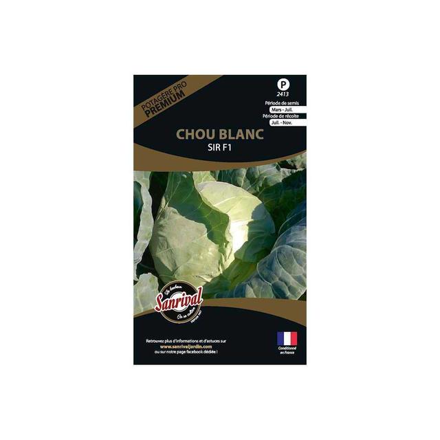 Graines potagères premium chou Chou blanc Sir