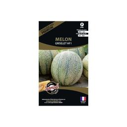 Graines potagères premium melon Griselet