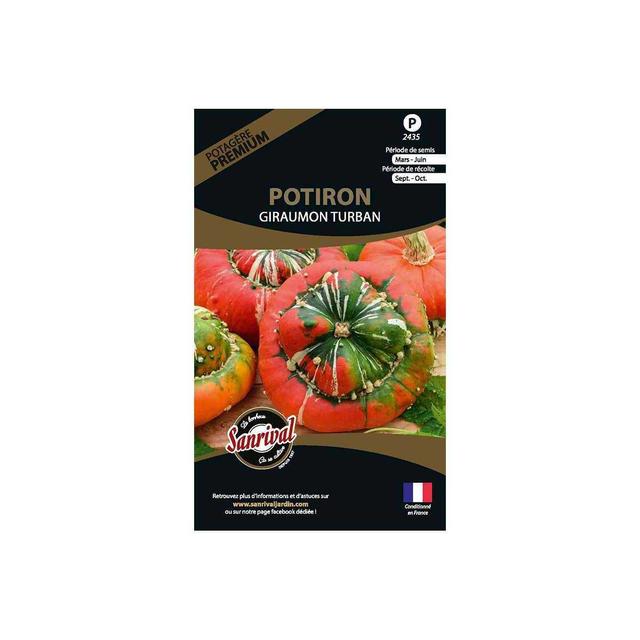 Graines potagères premium potiron Giraumon turban