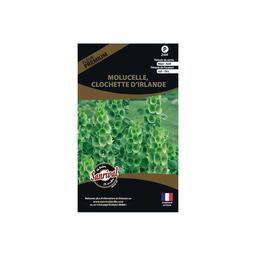 Graines de fleurs premium molucelle clochette d'Irlande