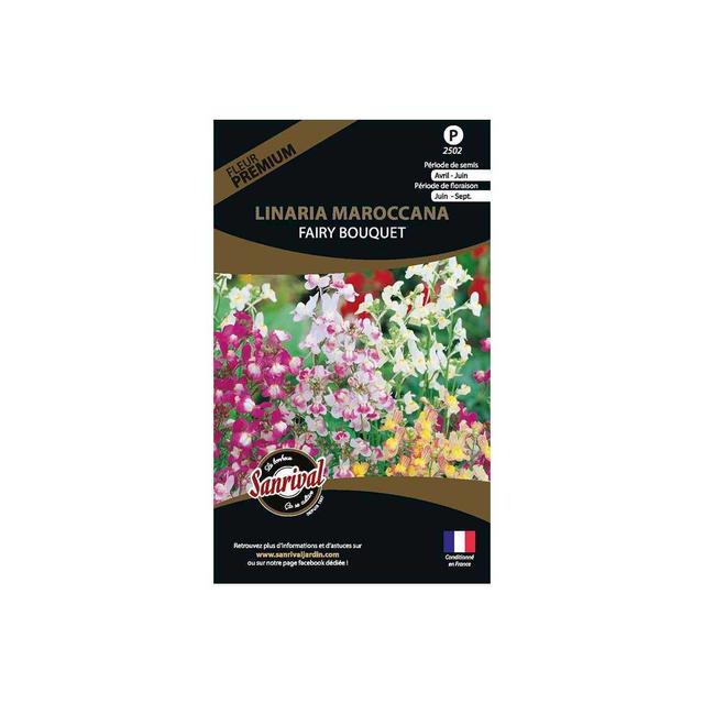 Graines de fleurs premium linaria fairy bouquet