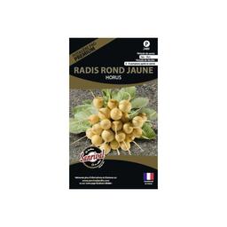 Graines potagères premium radis Rond jaune Horus