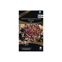 Graines potagères premium laitue Feuille de chêne rouge Saxo