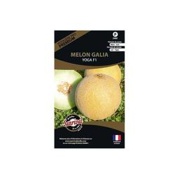 Graines potagères premium melon Galia Yoga