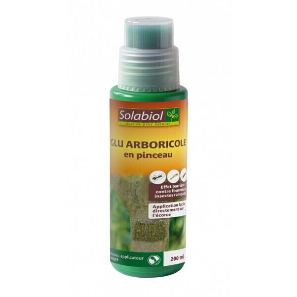 Glu arboricole en pinceau