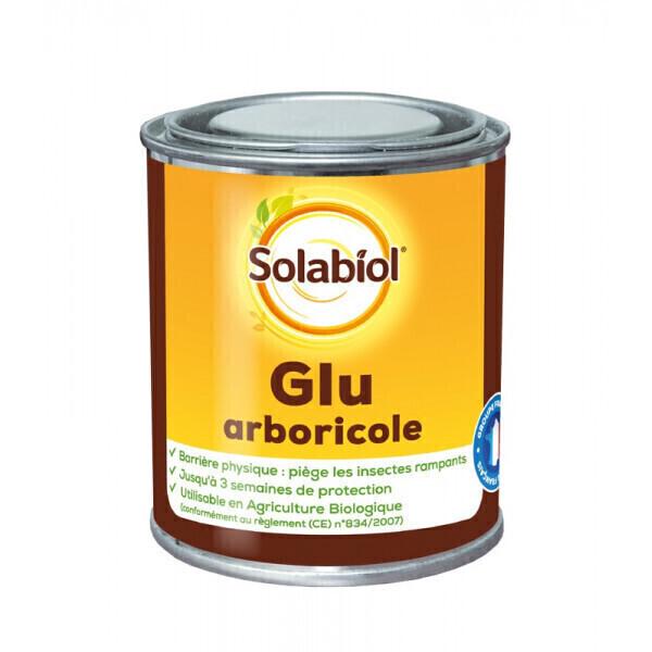 Glu arboricole