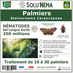 Nématodes - Palmiers - 250 millions nématodes SC