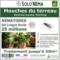 Nématodes - Mouches du terreau 25 millions nématode SF