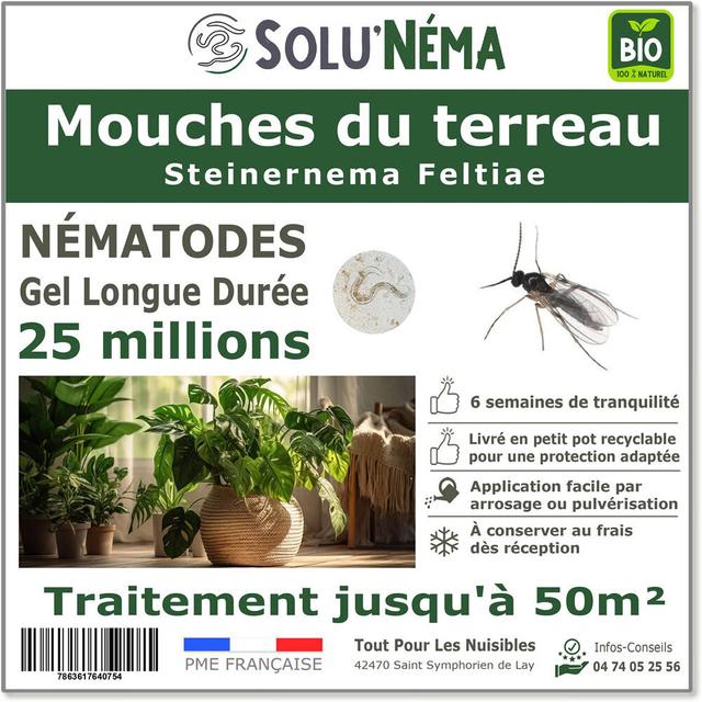 Nématodes - Mouches du terreau 25 millions nématode SF