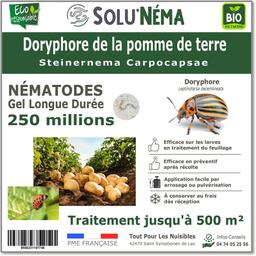 Nématodes - Doryphore Pomme de terre - 250 millions nématodes SC