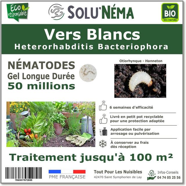 Nématodes - Vers Blancs - 50 millions nématodes HB