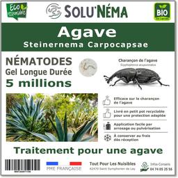 Nématodes - Agave - 5 millions nématodes SC