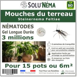 Nématodes - Mouches du terreau 3 millions nématode SF