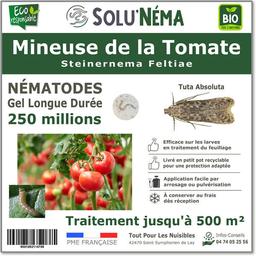 Nématodes Mineuse de la tomate - 250 millions