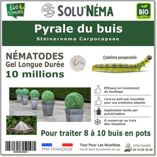 Pyrale du Buis - Nématodes(SC) -10 millions- 8 à 10 buis en pots