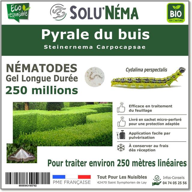 Pyrale du Buis-Nématodes(SC)-250 millions-250 mètres linéaires