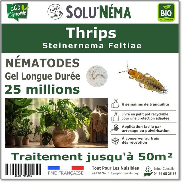 Thrips - Nématodes (SF) - 25 millions pour traiter jusqu'à 50 m²