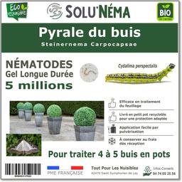 Pyrale du Buis - Nématodes (SC) - 5 millions- 4 à 5 buis en pots