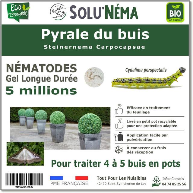 Pyrale du Buis - Nématodes (SC) - 5 millions- 4 à 5 buis en pots