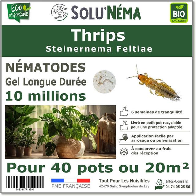 Thrips - Nématodes (SF) - 10 millions pour 40 pots ou 20 m²