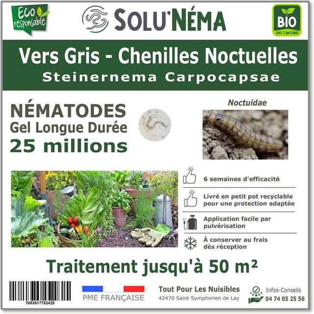 Vers Gris - Nématodes Steinernema Carpocapsae (sc) - 25 millions