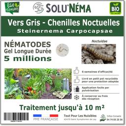 Vers Gris - Nématodes Steinernema Carpocapsae (sc)  - 5 millions