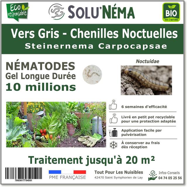 Vers Gris - Nématodes Steinernema Carpocapsae (SC) - 10 millions