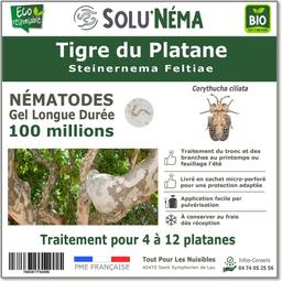 Tigre du Platane-Nématodes Steinernema Feltiae (SF)-100 millions