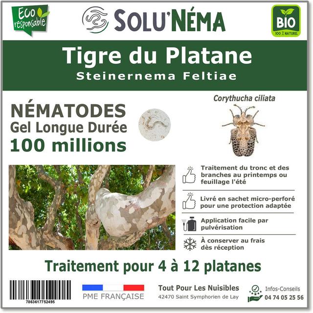 Tigre du Platane-Nématodes Steinernema Feltiae (SF)-100 millions