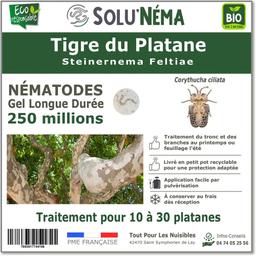 Tigre du Platane- Nématodes Steinernema Feltiae(SF)-250 millions