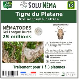 Tigre du Platane- Nématodes Steinernema Feltiae (SF)-25 millions