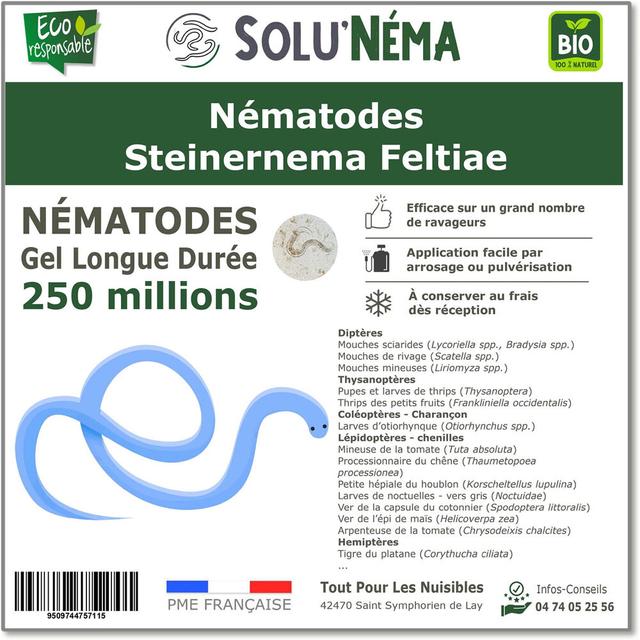 SOLUNEMA - Nématodes Steinernema Feltiae - 250 Millions