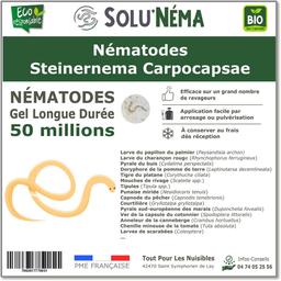 SOLUNEMA - Nématodes Steinernema Carpocapsae - 50 Millions