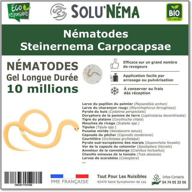 SOLUNEMA - Nématodes Steinernema Carpocapsae - 10 Millions