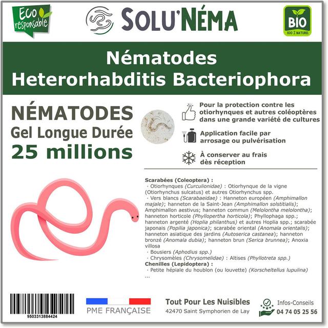 SOLUNEMA - Nématodes Heterorhabditis Bacteriophora - 25 Millions