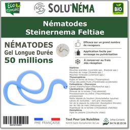 SOLUNEMA - Nématodes Steinernema Feltiae - 50 Millions