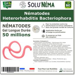 SOLUNEMA - Nématodes Heterorhabditis Bacteriophora - 50 Millions