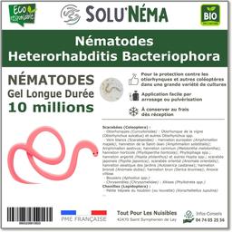 SOLUNEMA - Nématodes Heterorhabditis Bacteriophora - 10 Millions