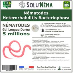 SOLUNEMA - Nématodes Heterorhabditis Bacteriophora - 5 Millions