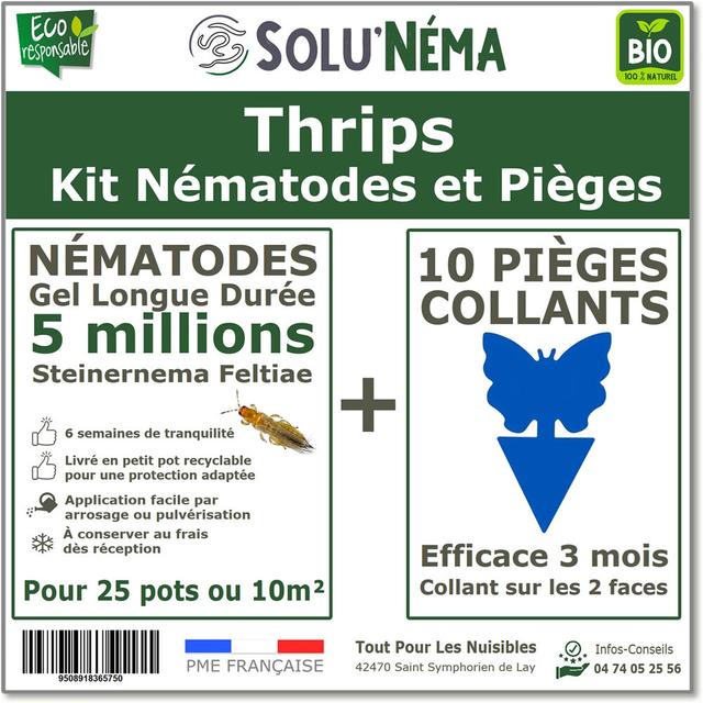 Thrips Kit 5 millions Nématodes(SF)+10 pièges collants