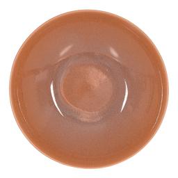 Assiette plate Terra 27,5 cm (lot de 6)