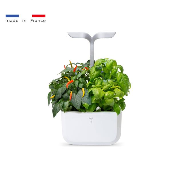 Potager Autonome EXKY SMART Arctic White - 2 Lingots inclus