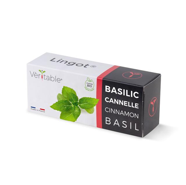 Lingot Basilic Cannelle BIO - Recharge prête à l'emploi