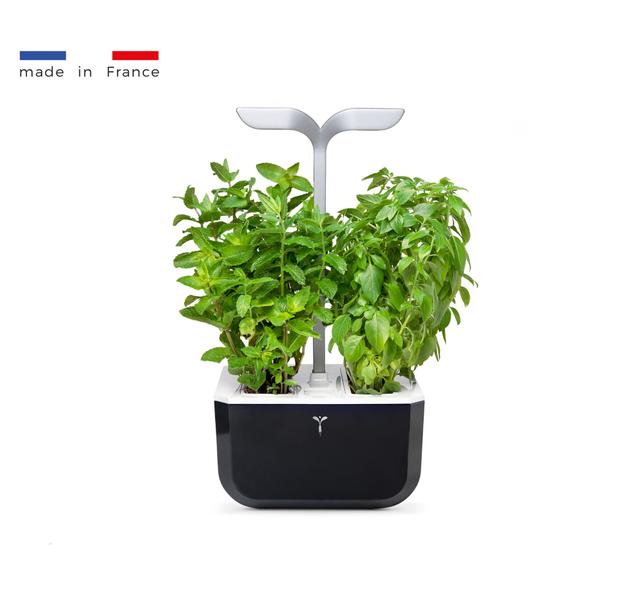 Potager Autonome EXKY SMART Soft Black - 2 Lingots inclus