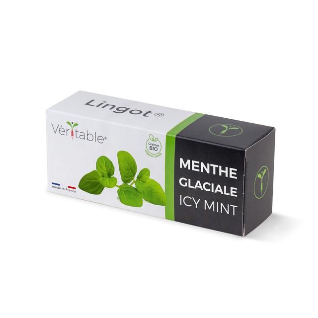 Lingot Menthe glaciale BIO - Recharge prête à l'emploi