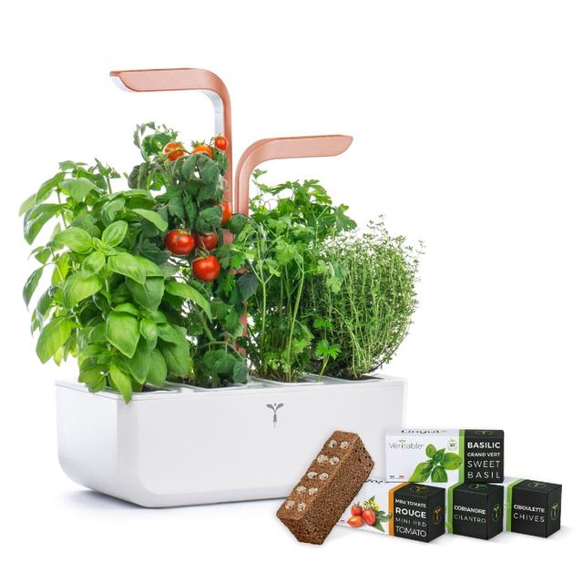 Potager Autonome Véritable SMART White Copper - 4 Lingots inclus