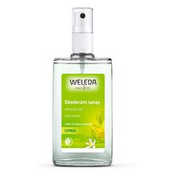 Déodorant spray Citrus efficacité 24H 100ml