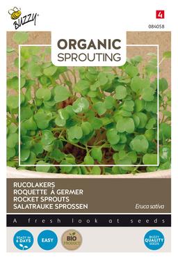 Buzzy Organic Sprouting de roquette (BIO) - Ca. 30 gr